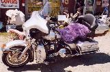 2003 HD Ultra Classic ElectraGlide 100 Anniversary